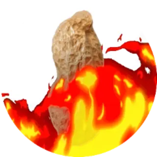 TheBurntPeanut